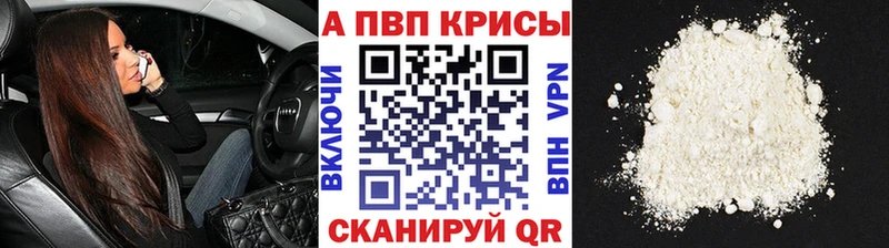 A PVP СК КРИС  Северск 