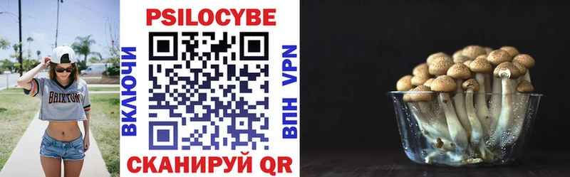 купить закладку  Северск  Псилоцибиновые грибы прущие грибы 